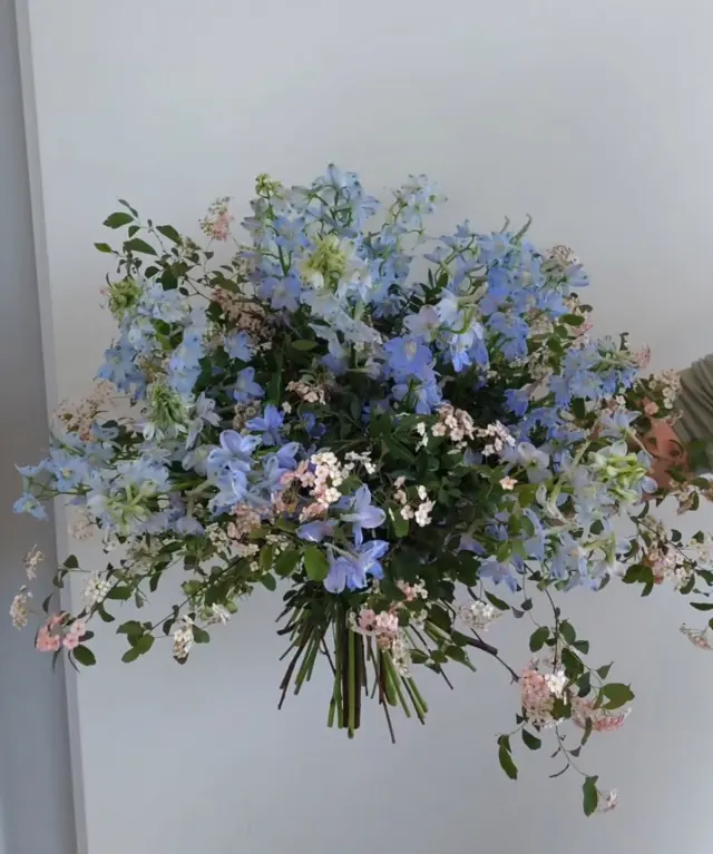 Ein Traum in Blau! 

#wiesenhaft #rittersporn #blau #weiß #Strauß #Lüneburg #2025 #lüneburgheide #blumengalerie #lüneburg #blumen #Frühling #Sommer