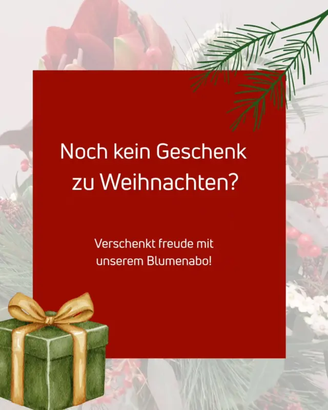 Verschenkt Freude mit unserem Blumenabo! 
Mit unserem Blumenabo verschenkt Ihr nicht nur  an Weihnachten Freude sonder das ganze Jahr! 🎄
#blumen #blumengalerie #lüneburgheide #abo #sträuße #weihnachten #Geschenk #Freude