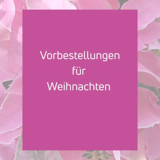 Bestellt gerne eure Sträuße für Weihnachten vor! 
Ihr könnt sie bei uns im Laden abholen oder wir liefern sie an eure Wunschadresse innerhalb Lüneburgs kostenlos ab 25 Euro Bestellwert. 
Nach Wendisch- und Deutsch Evern, Melbeck und Embsen berechnen wir eine Liefergebühr von 4,90 Euro.
Nach Reppenstedt,Vögelsen, Ochtmissen, Bardowick und Adendorf berechnen wir eine Liefergebühr von 5,90 Euro. 
#Blumen #Weihnachten #geschenke #Lüneburg #liefern #blumengruss #Freude #Weihnachtszeit 
#Abholen #Vorbestellungen