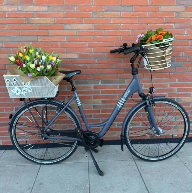 Wir liefern den Frühling zu euch nach Hause💐🌞☀️🌷🪻

#Blumen #Frühling #blumengalerieantjecardano #Liefern #Tulpen