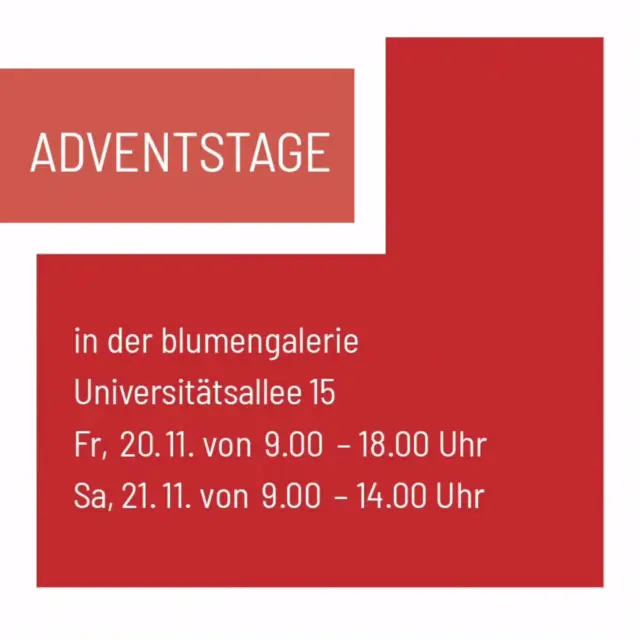 🎄❤️ Unsere Adventstage stehen vor der Tür! ❤️🎄

Am 20. und 21. November laden wir euch herzlich zu unseren Adventstagen in die Blumengalerie ein. ✨

Entdeckt unsere weihnachtlichen Kreationen, lasst euch inspirieren und stimmt euch mit uns auf die Adventszeit ein. 🕯️🌲

🎁 Unser besonderes Angebot: Während der Adventstage erhaltet ihr 20 % Rabatt auf alle Kerzenkränze und Kerzengestecke!

📍 Blumengalerie – Universitätsallee 15

🗓️ Freitag, 20.11. | 9:00–18:00 Uhr
🗓️ Samstag, 21.11. | 9:00–14:00 Uhr

Wir freuen uns auf euren Besuch und eine schöne gemeinsame Einstimmung auf die Weihnachtszeit! ❤️

#Adventstage #Blumengalerie #Adventszeit #Adventskranz #Kerzengestecke Weihnachten Floristik Weihnachtsdekoration